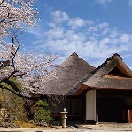 金沢八景権現山公園